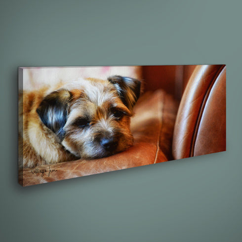 PANORAMIC - FLIRTY GERTY - 1.2m x 50cm